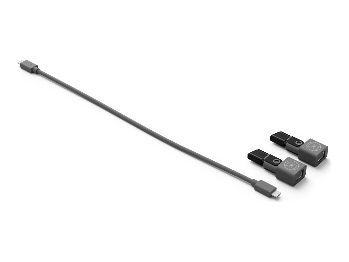 LOGITECH Rally Mic Pod Cat Coupler Black beg.