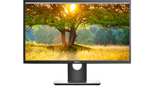 Dell P2417Hb Dell Professional 23,8-tums Full HD-skärm 1080p -BEG